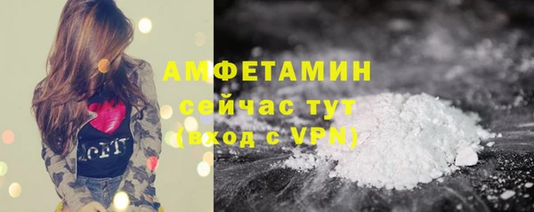 молекула духа Михайлов