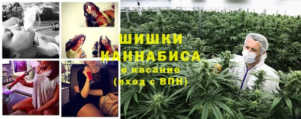 амф Михайловск