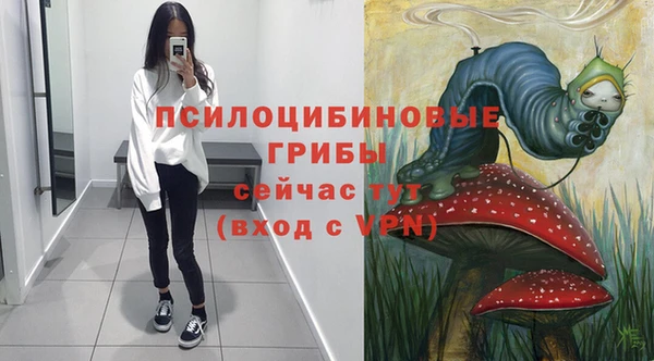 молекула духа Михайлов