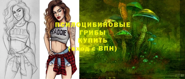 амф Михайловск