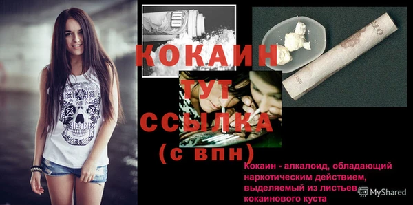 амф Михайловск
