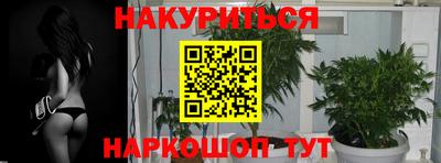гашик Заводоуковск