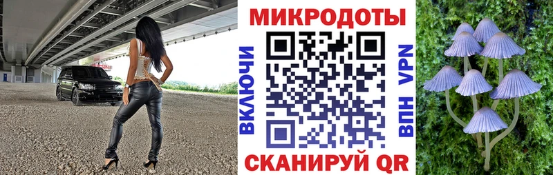 где купить наркотик Краснодар Псилоцибиновые грибы Cubensis