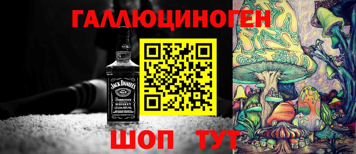 Псилоцибиновые грибы Psilocybine cubensis  Вход с VPN  Краснодар 